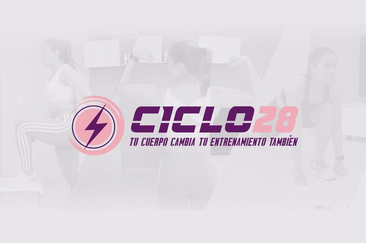 CICLO 28